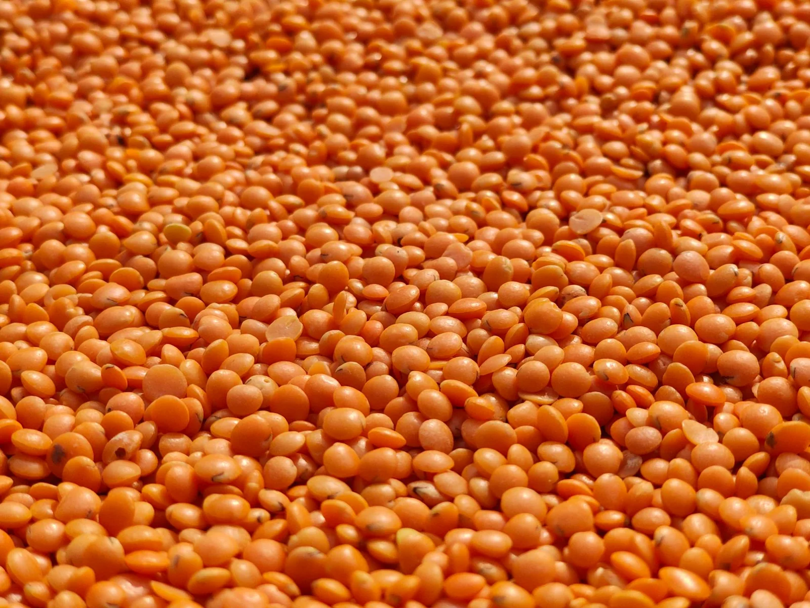 Kasvipohjaisen raudan imeytymistä voi tukea yhdistämällä palkokasvit, täysjyvän ja siemenet C-vitamiinipitoisiin kasviksiin tai hedelmiin.