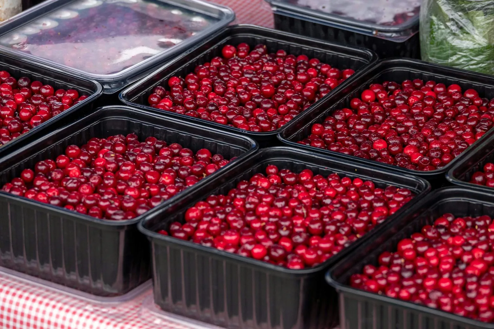 Tuoreet karpalot toimivat parhaiten osana muuta ruokaa, eivät välttämättä yksinään naposteltuna