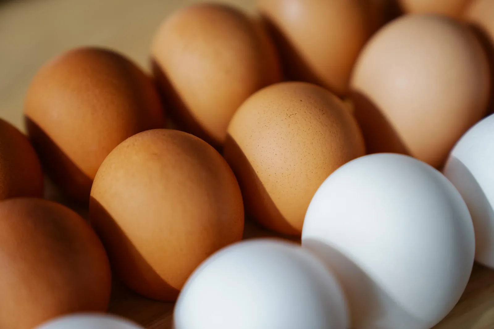 Kananmunia ja papuja proteiinilähteinä