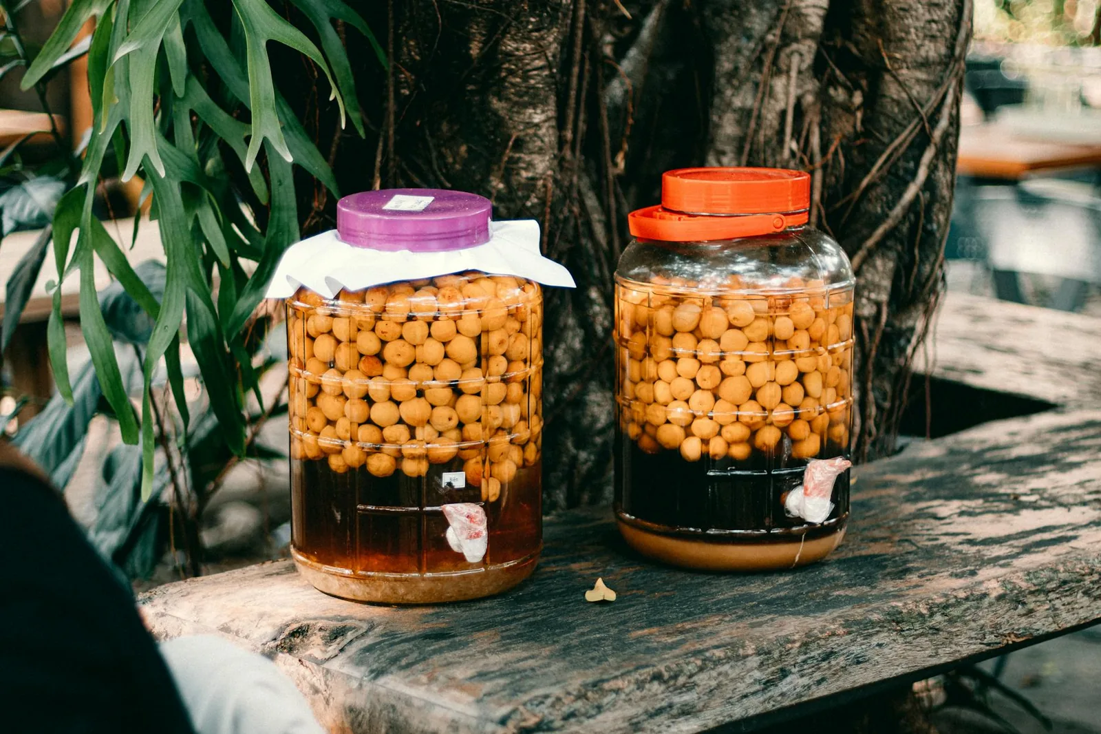 Fermentoiduissa juomissa kiinnostavaa on elävien mikrobien lisäksi happamuus, maku ja se, korvaavatko ne sokerisia juomia.